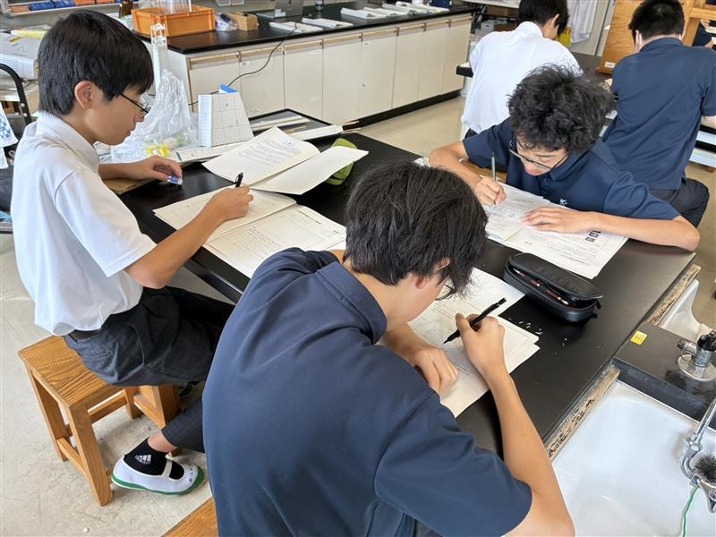 画像 -20260731-025926-9e0337e8_7371